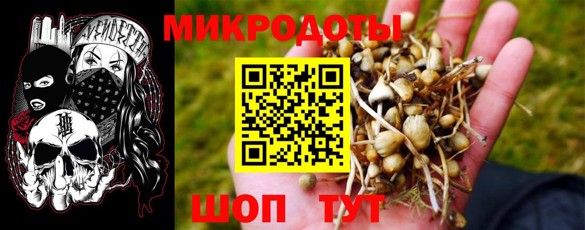 Псилоцибиновые грибы Cubensis  Вход с VPN  Екатеринбург 