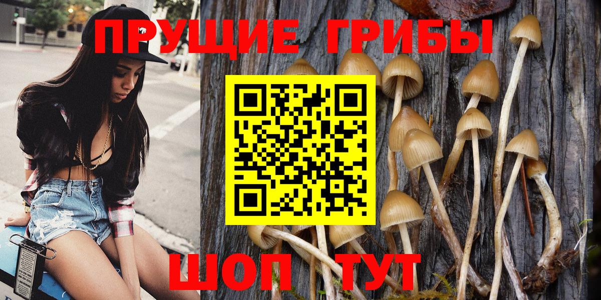 Псилоцибиновые грибы прущие грибы Екатеринбург